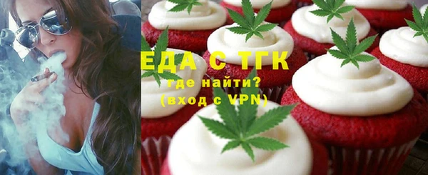 шишки Белокуриха