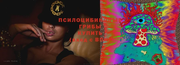 ECSTASY Семикаракорск