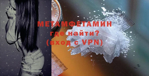шишки Белокуриха