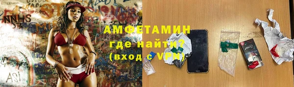 шишки Белокуриха
