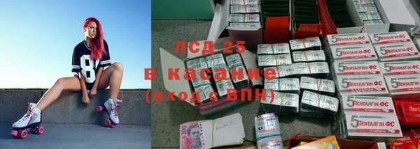 шишки Белокуриха