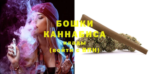 шишки Белокуриха
