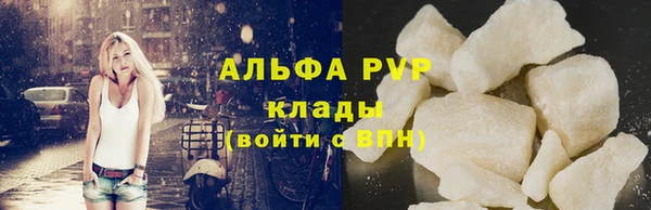 шишки Белокуриха