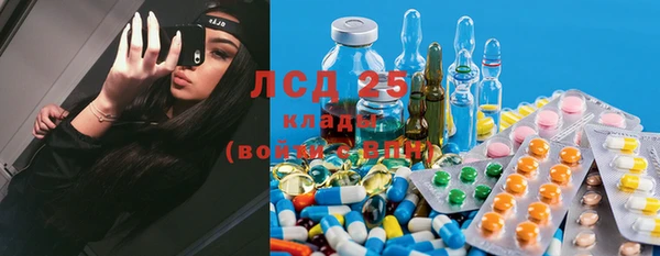 шишки Белокуриха
