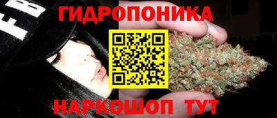 spice Гусев