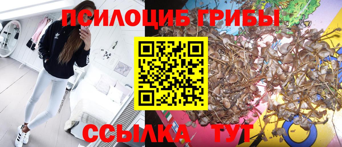 Лыткарино  Псилоцибиновые грибы Cubensis  цена наркотик  Вход с VPN 
