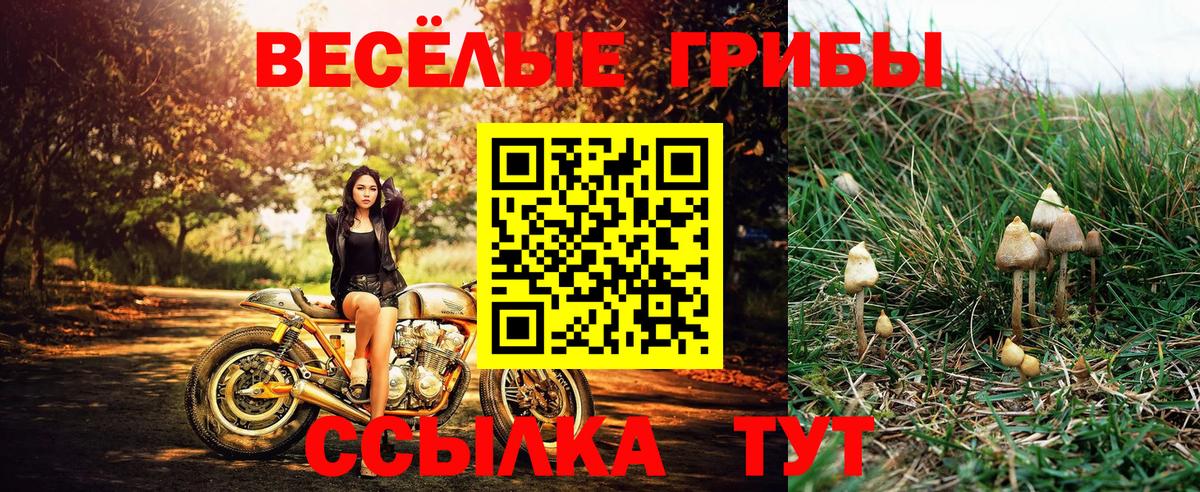 Галлюциногенные грибы мицелий Лыткарино